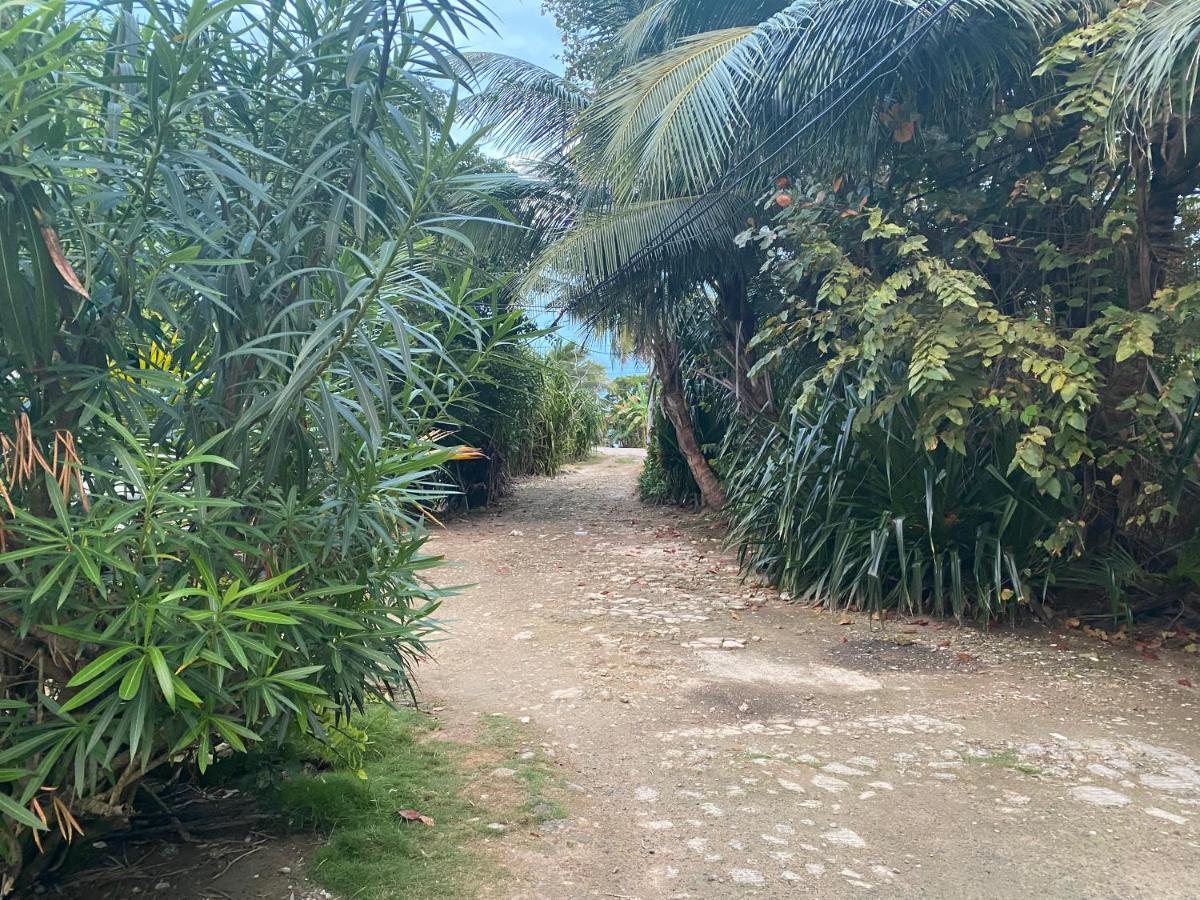 Posada Turistica el Swampito San Andrés Exterior foto